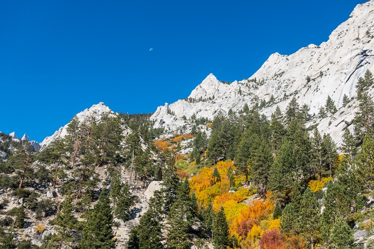 Sony RX100 V Review: Expert Insights on the Ultimate Compact Camera