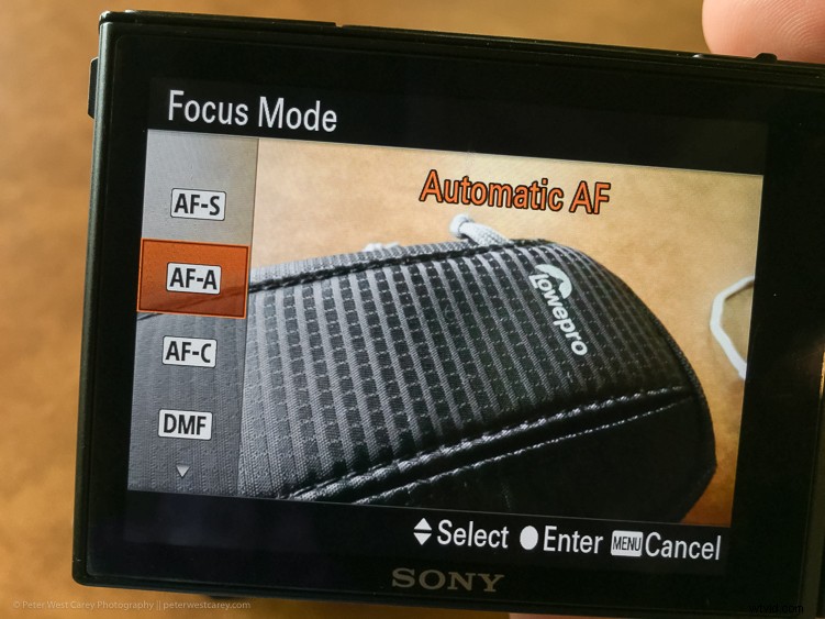 Sony RX100 V Review: Expert Insights on the Ultimate Compact Camera