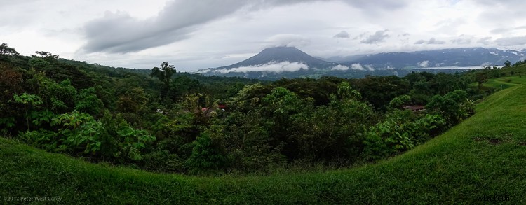 Sony RX100 V Review: Expert Insights on the Ultimate Compact Camera