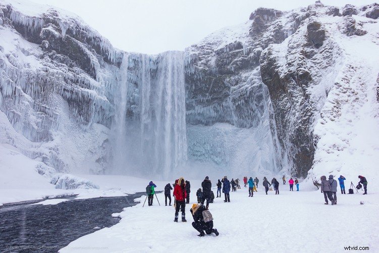 Sony RX100 V Review: Expert Insights on the Ultimate Compact Camera