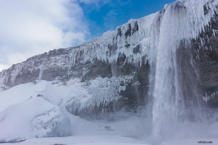 Sony RX100 V Review: Expert Insights on the Ultimate Compact Camera