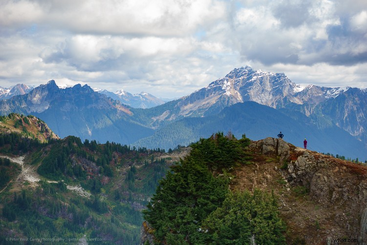 Sony RX100 V Review: Expert Insights on the Ultimate Compact Camera