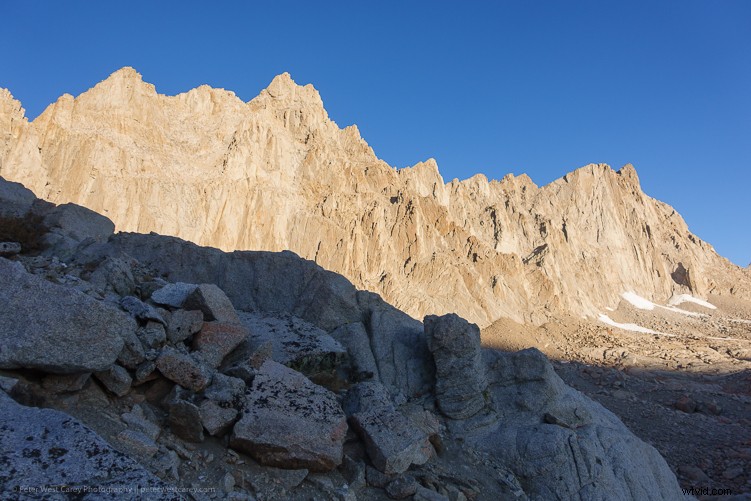 Sony RX100 V Review: Expert Insights on the Ultimate Compact Camera