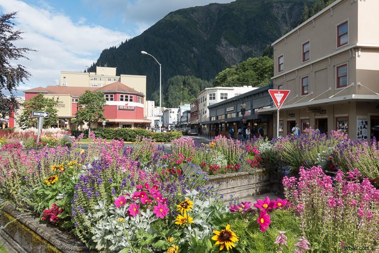 Sony RX100 V Review: Expert Insights on the Ultimate Compact Camera