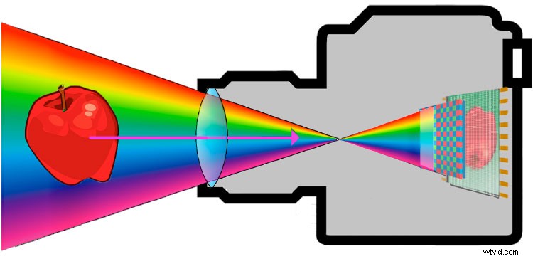 Master Capturing and Sculpting Light s Color: Essential Photography Techniques