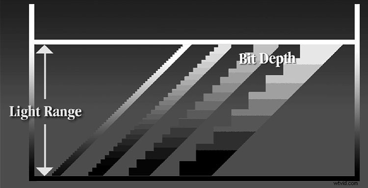 Master Capturing and Sculpting Light s Color: Essential Photography Techniques
