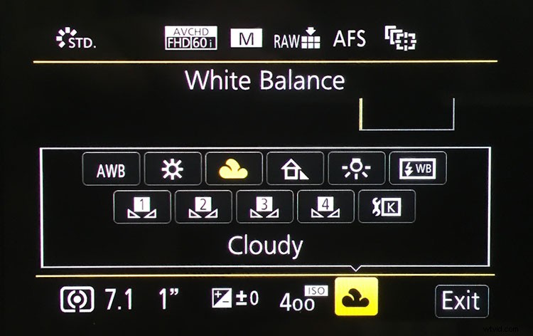 Master Capturing and Sculpting Light s Color: Essential Photography Techniques
