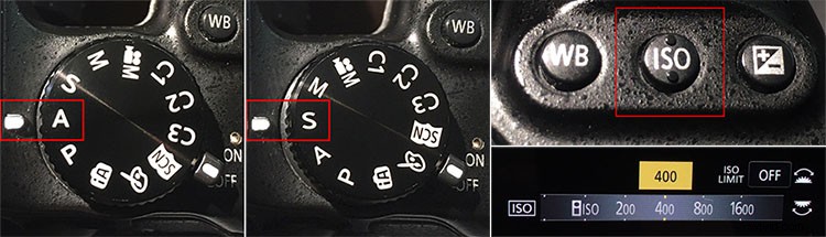 Master Capturing and Sculpting Light s Color: Essential Photography Techniques
