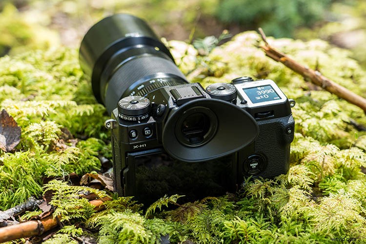Fujifilm X-H1 Review: In-Depth Thoughts and Real-World Field Test
