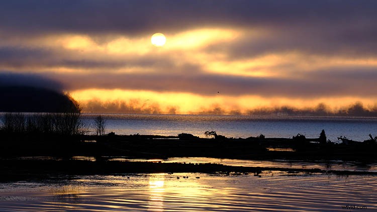 Fujifilm X-H1 Review: In-Depth Thoughts and Real-World Field Test