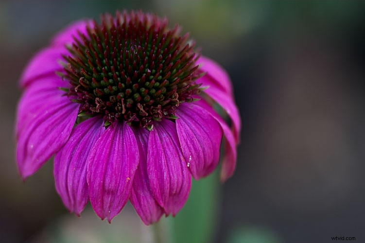 ON1 Photo RAW 2018: The Ultimate Beginner s Guide to Photo Editing