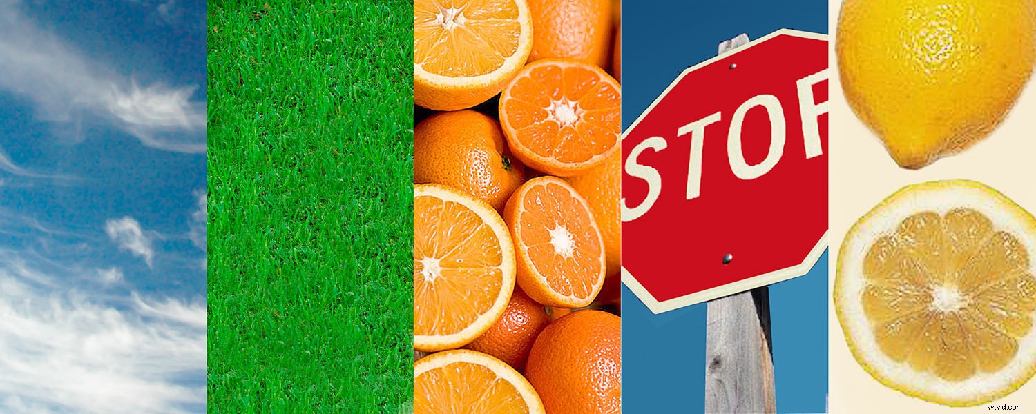 Why Poor Color Balance Ruins Your Photos: Gray vs. White Balance Explained