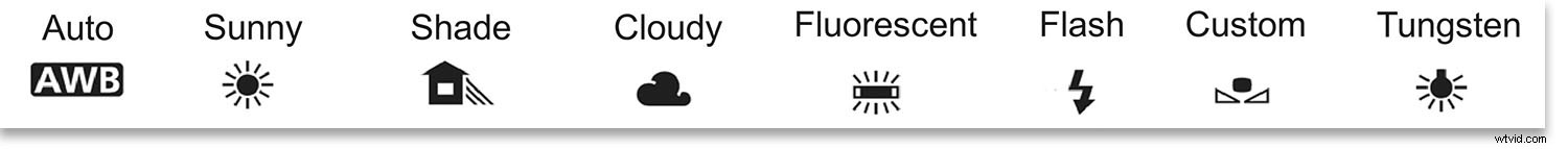 Why Poor Color Balance Ruins Your Photos: Gray vs. White Balance Explained
