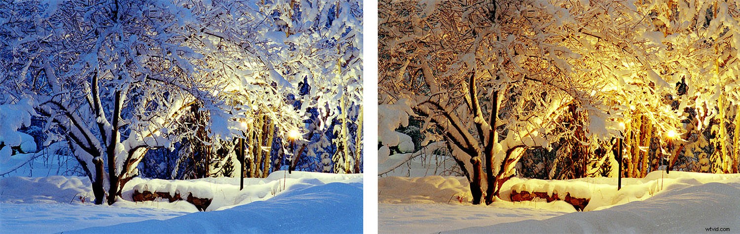 Why Poor Color Balance Ruins Your Photos: Gray vs. White Balance Explained