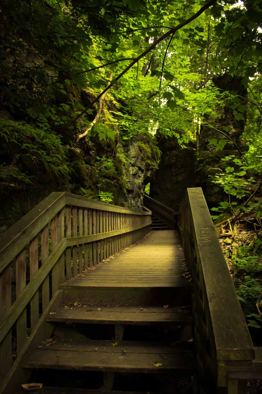 Revive Vintage Photos: Master Editing with Your Advanced Skills