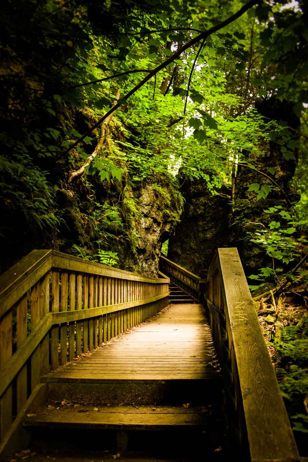 Revive Vintage Photos: Master Editing with Your Advanced Skills