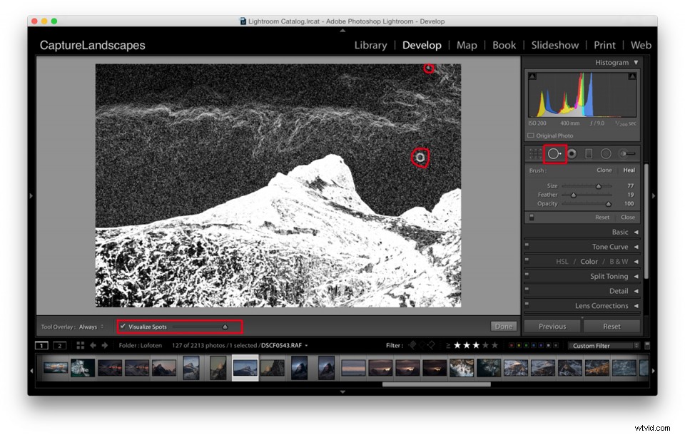 4 Critical Post-Processing Mistakes to Avoid for Flawless Photos