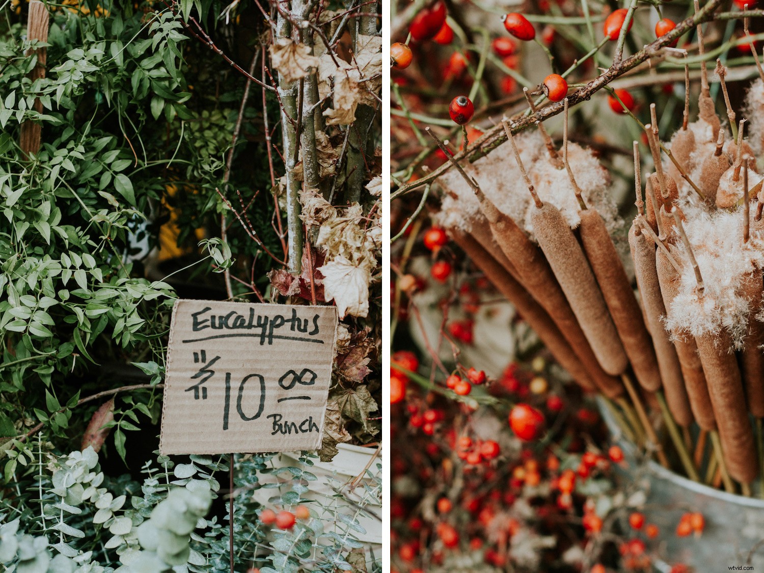 Master Low-Light Photography: Pro Tips for Sharp, Noise-Free Shots