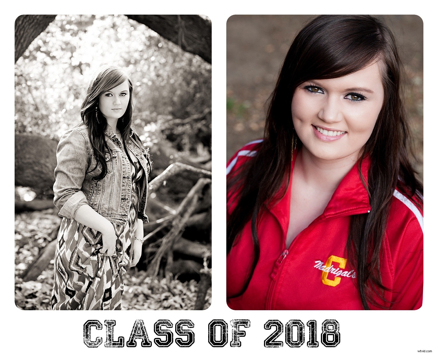 BlogStomp Review: Streamline Photo Blogging for Photographers