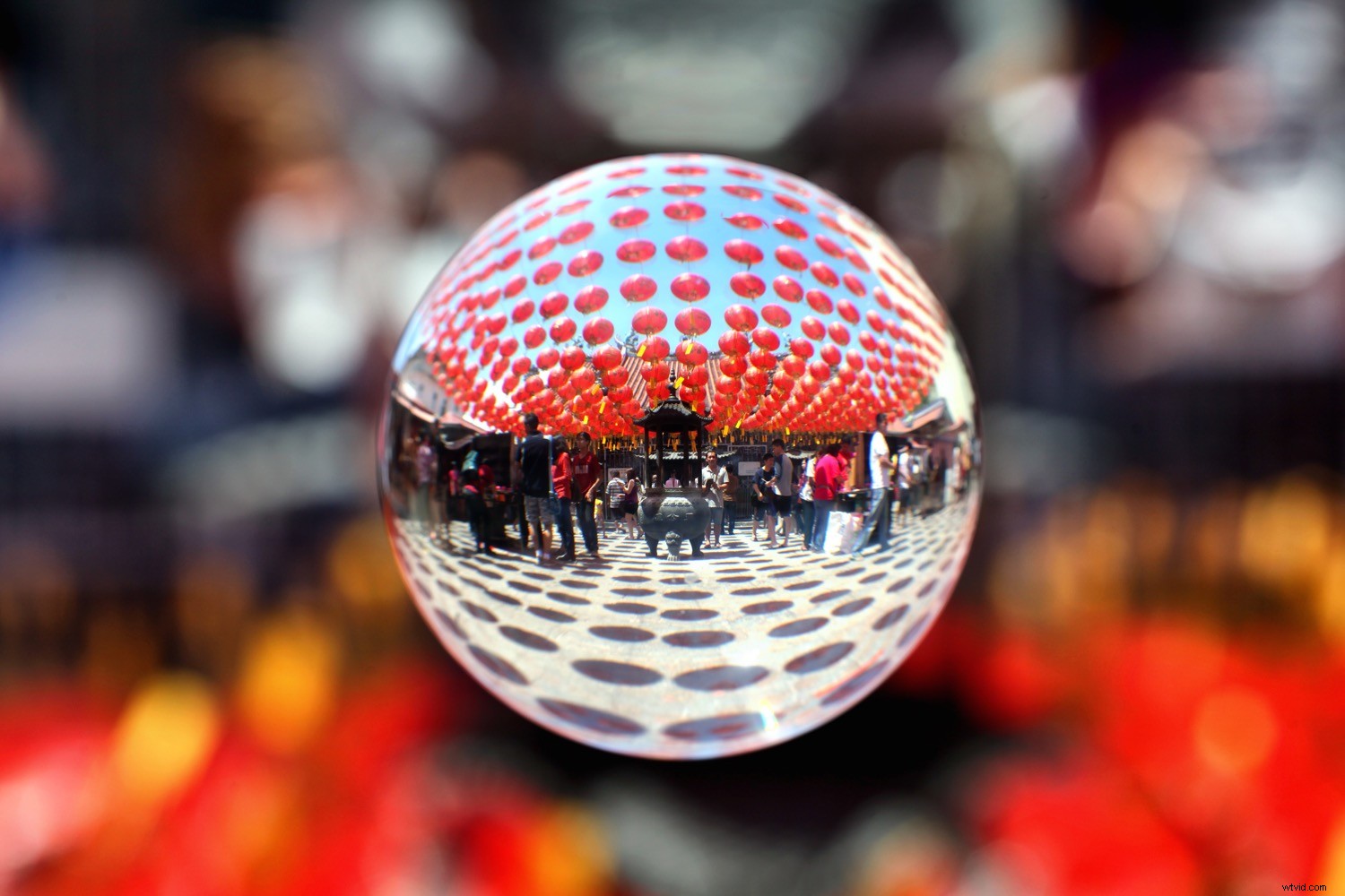 9 Essential Tips for Aspiring Young Photographers