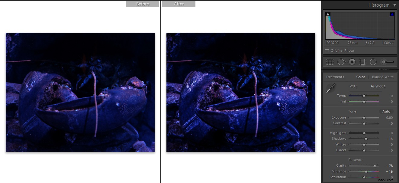 Expert Tips for Crystal-Clear and Creative Aquarium Photography with Lightroom Edits