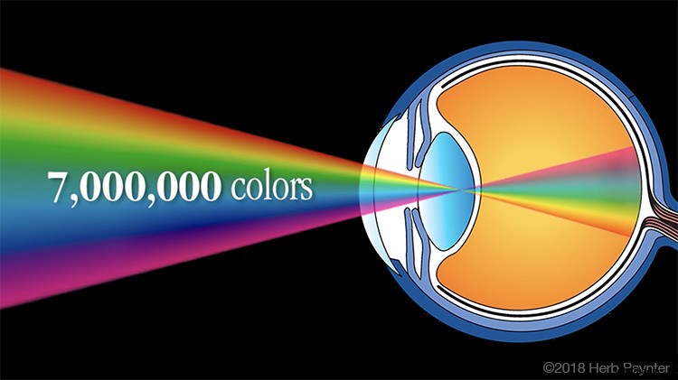 Understanding JPEG Compression Artifacts: Why Images Lose Quality from the First Save