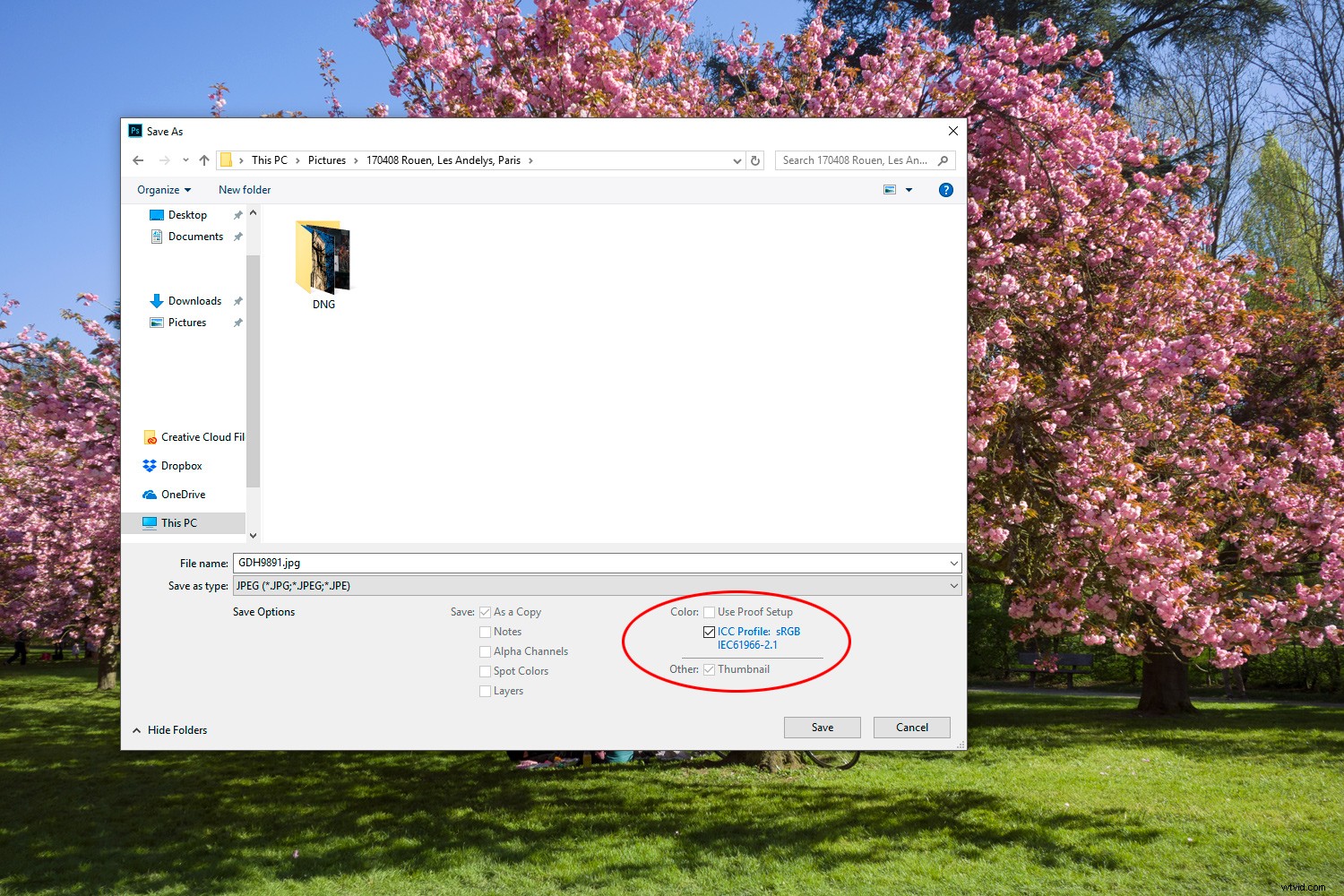 How to Choose the Perfect Color Profile for Stunning Online Images