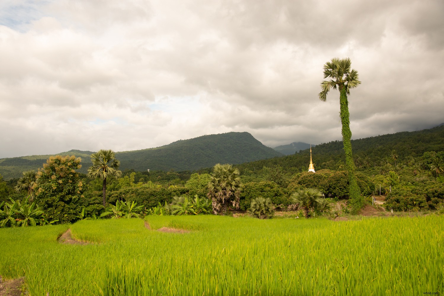 7 Essential Post-Processing Steps for Beginner Photographers in Lightroom & Photoshop