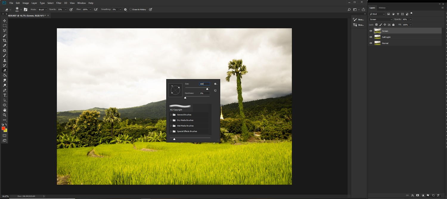 7 Essential Post-Processing Steps for Beginner Photographers in Lightroom & Photoshop