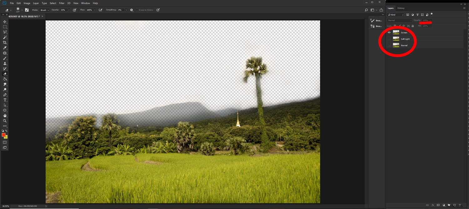 7 Essential Post-Processing Steps for Beginner Photographers in Lightroom & Photoshop