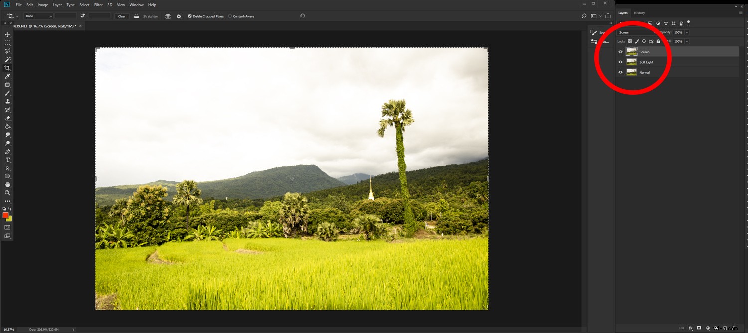 7 Essential Post-Processing Steps for Beginner Photographers in Lightroom & Photoshop