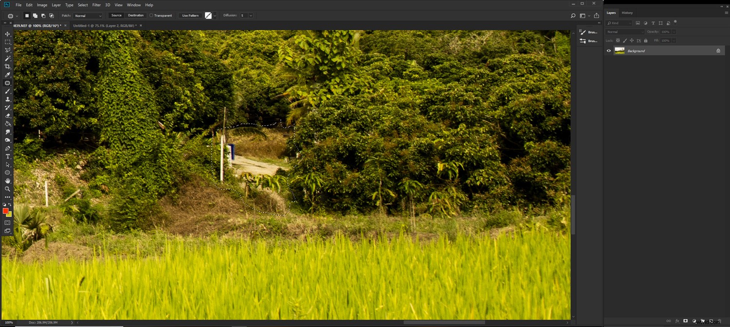 7 Essential Post-Processing Steps for Beginner Photographers in Lightroom & Photoshop
