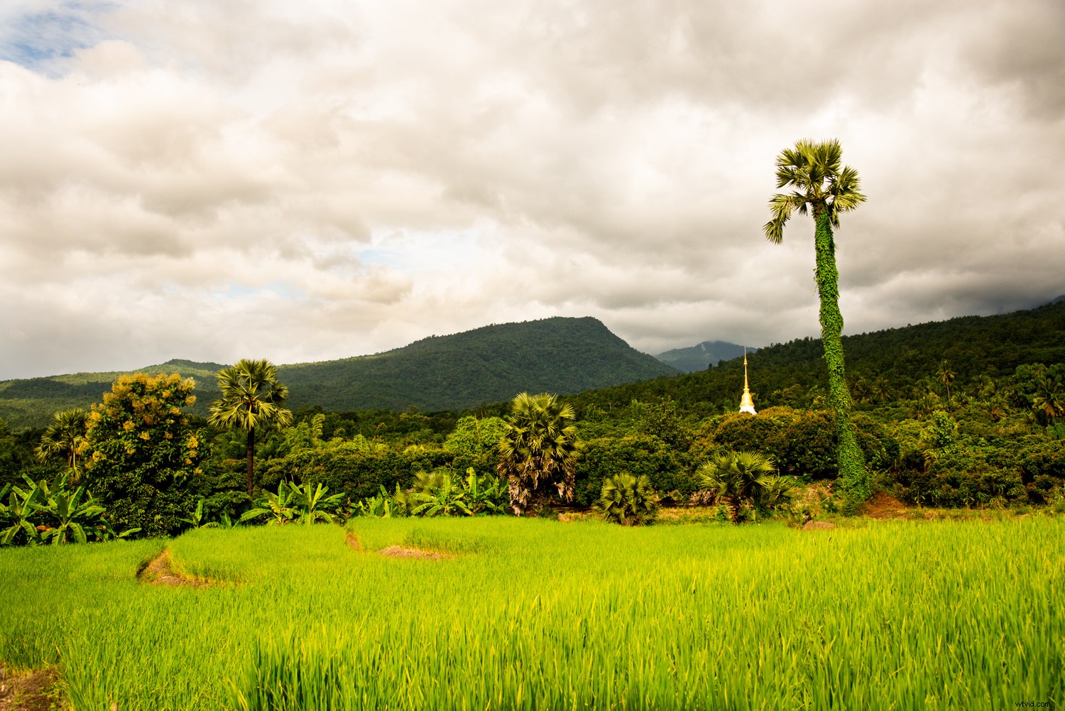 7 Essential Post-Processing Steps for Beginner Photographers in Lightroom & Photoshop