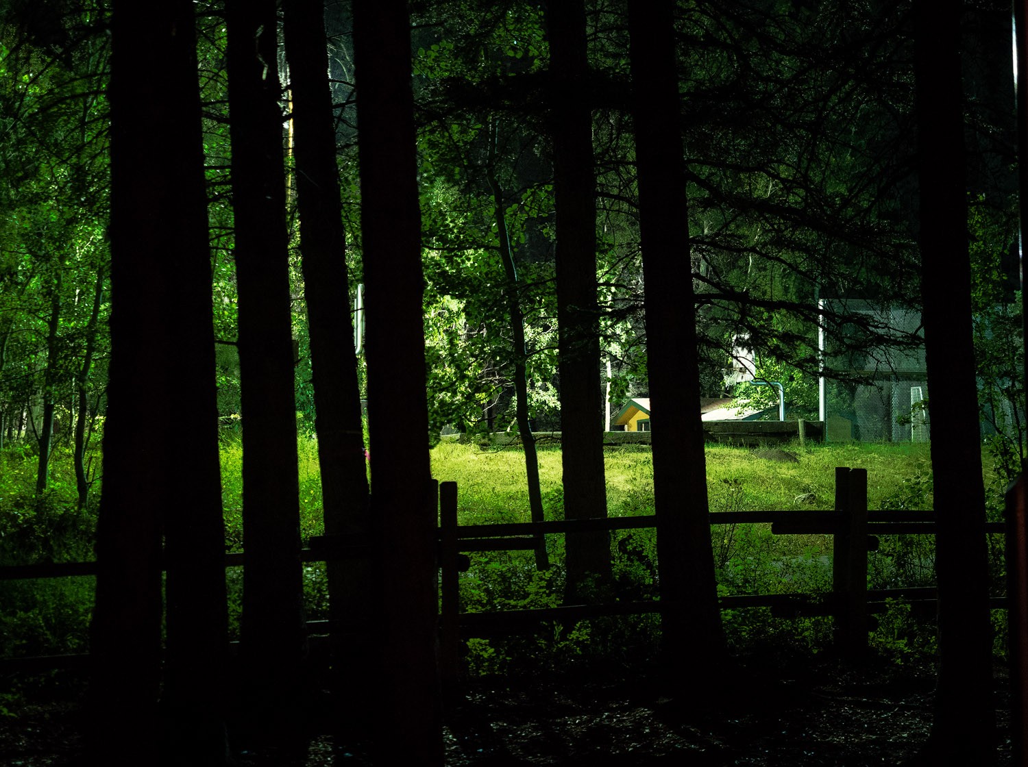 Master Low-Light Photography: Boost ISO for Sharper, Noise-Free Images