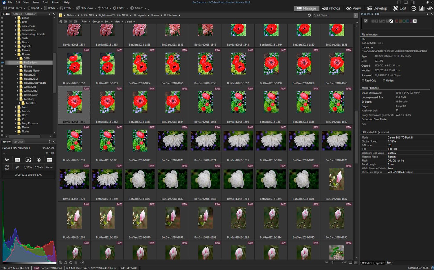 ACDSee Photo Studio Ultimate 2019: Expert Review for Photographers