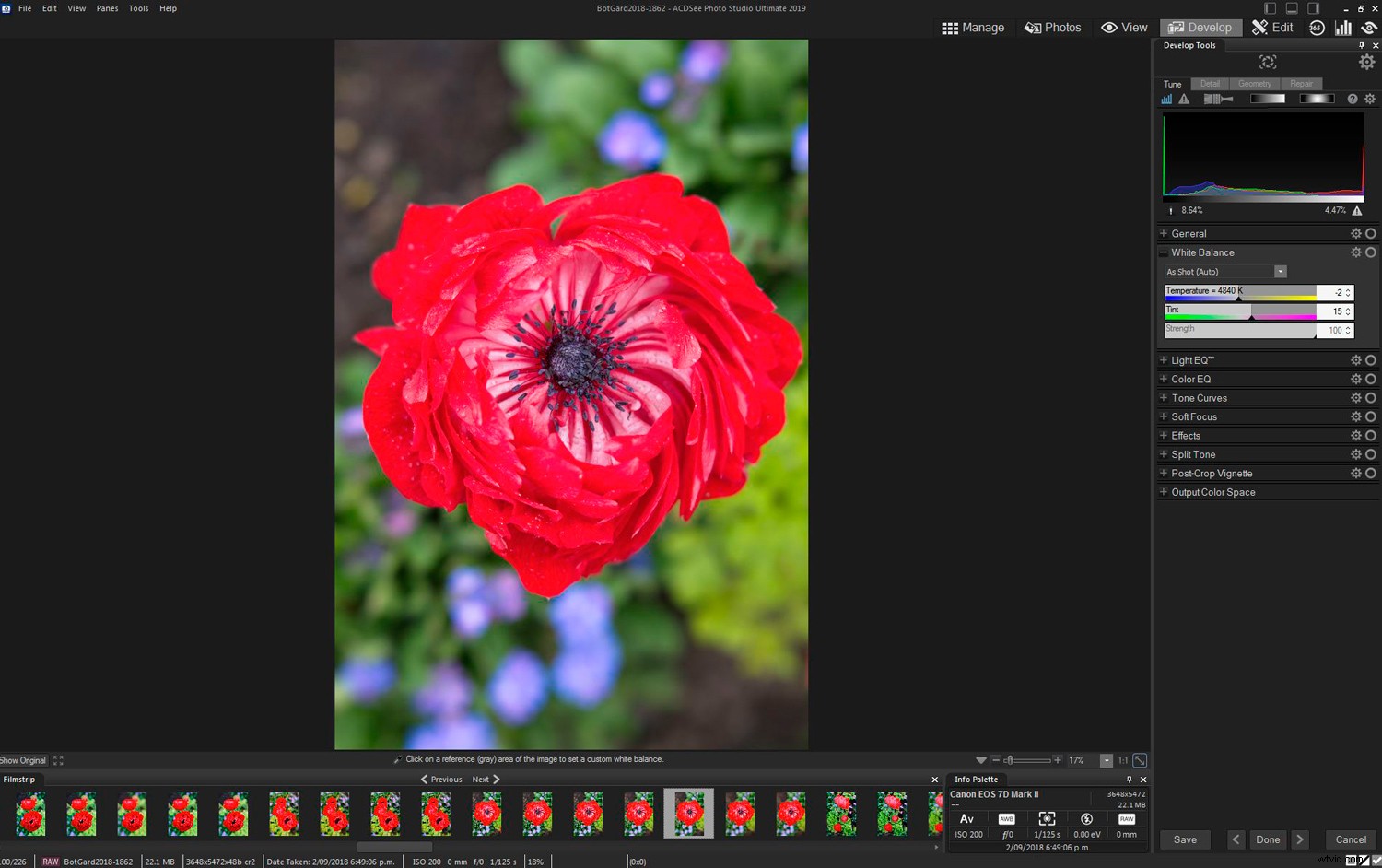 ACDSee Photo Studio Ultimate 2019: Expert Review for Photographers