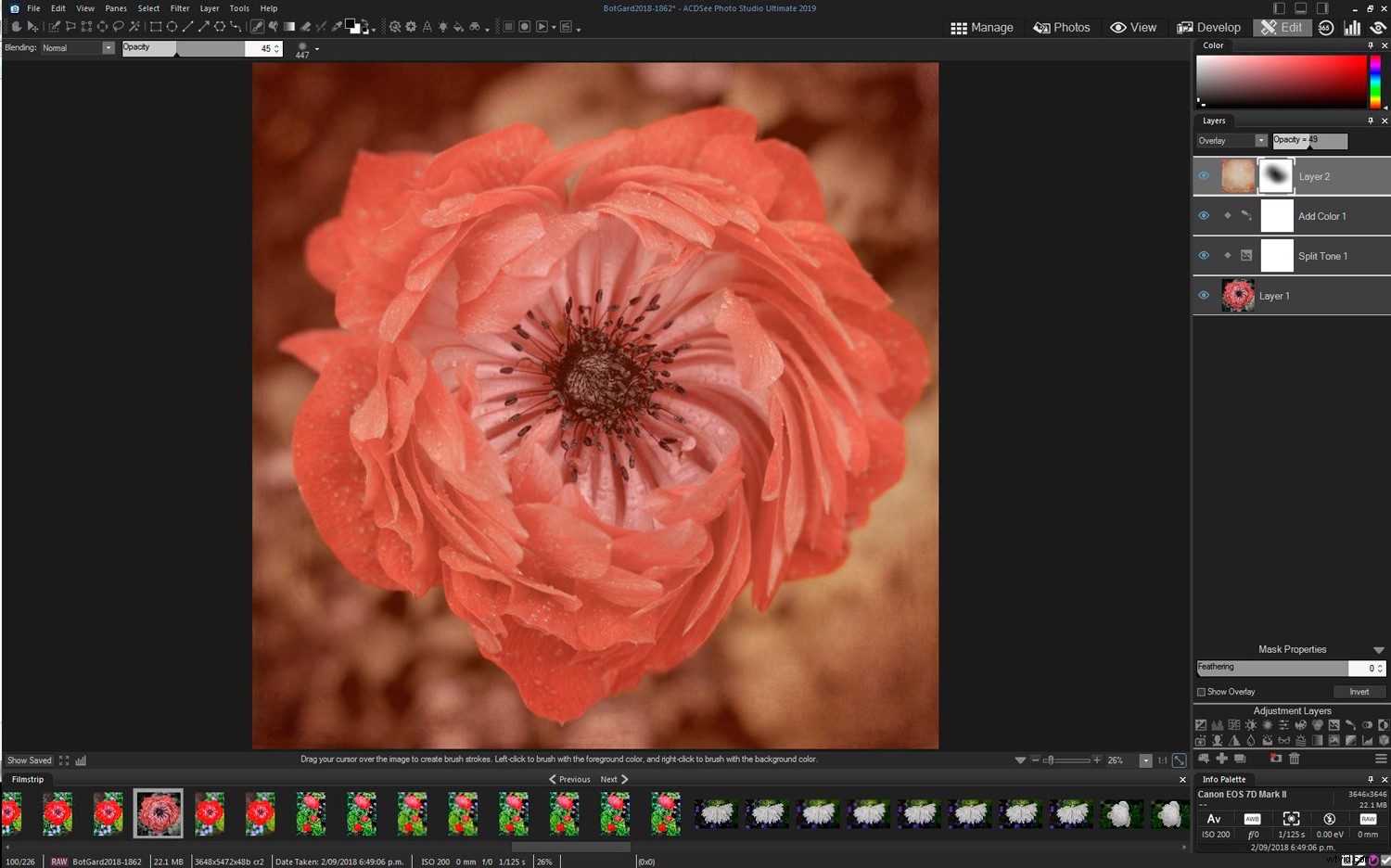 ACDSee Photo Studio Ultimate 2019: Expert Review for Photographers