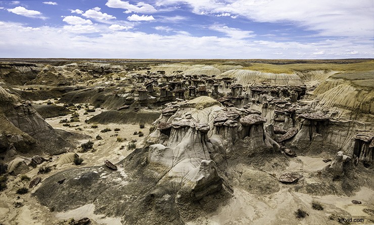 5 Pro Tips for a Perfectly Level Horizon Line in Landscape Photography