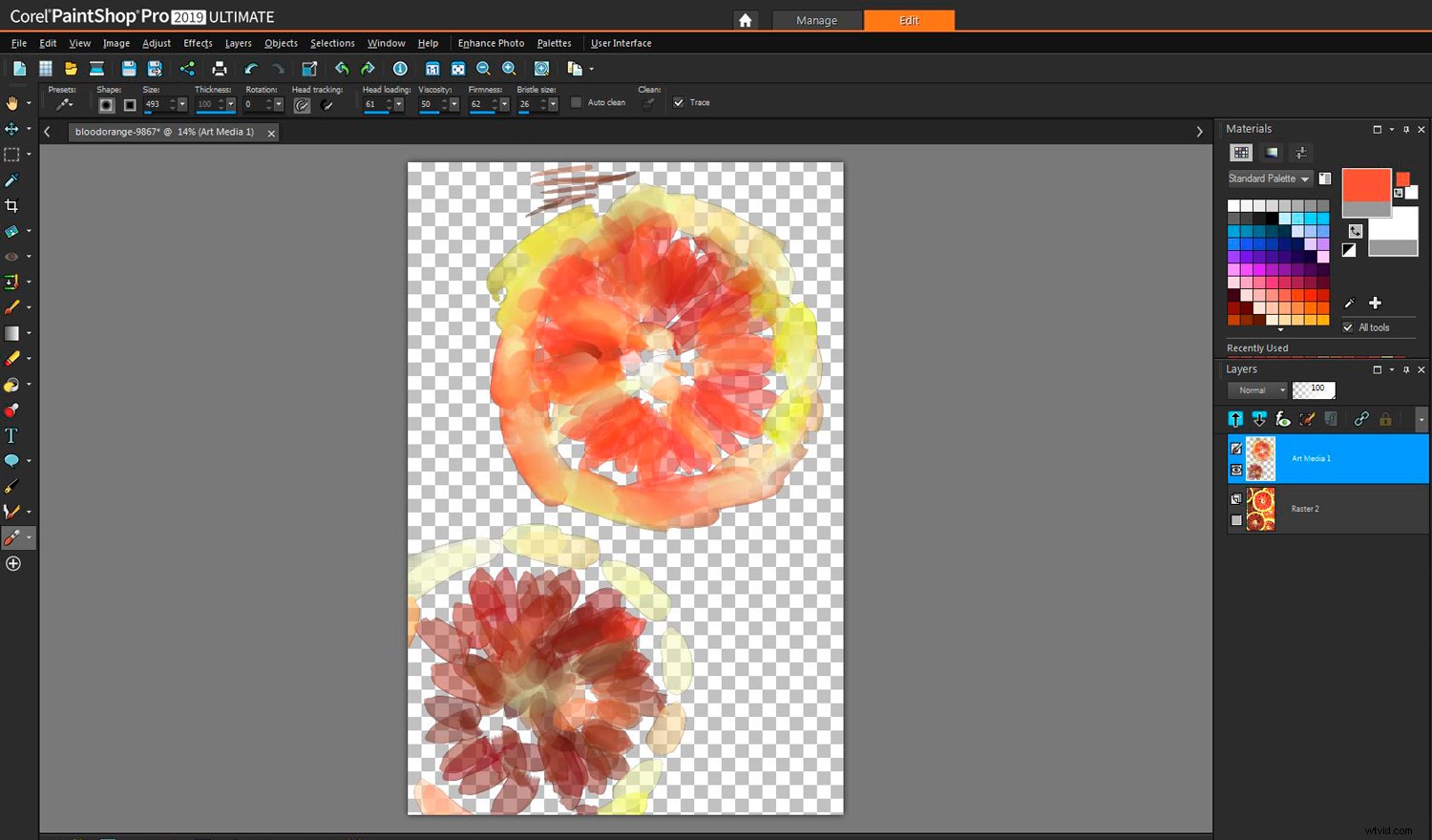 Corel PaintShop Pro 2019 Ultimate Review: Expert Comparison to Photoshop & Lightroom