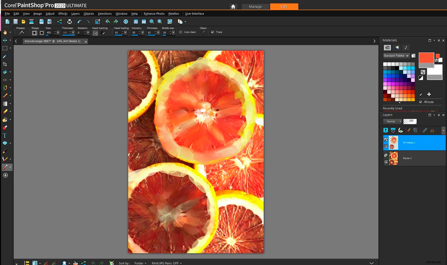 Corel PaintShop Pro 2019 Ultimate Review: Expert Comparison to Photoshop & Lightroom