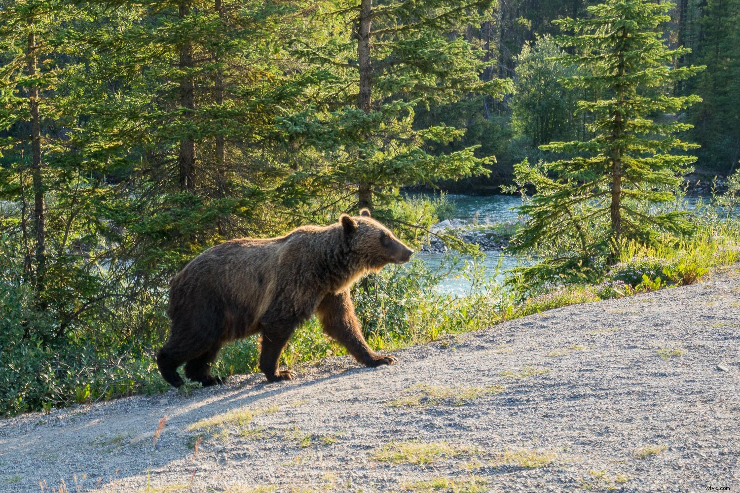 How to Reverse-Engineer Photos: Uncover Camera, Settings, and Location Secrets