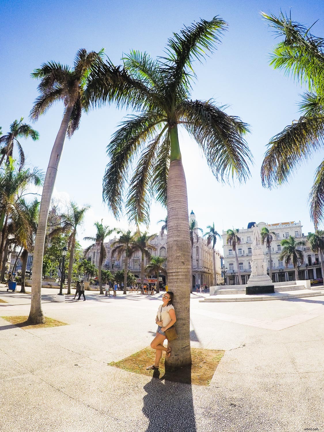 How to Reverse-Engineer Photos: Uncover Camera, Settings, and Location Secrets