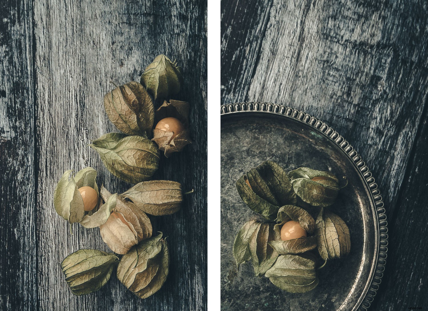 Transform Everyday Mundane into Stunning Fine Art Photography at Home