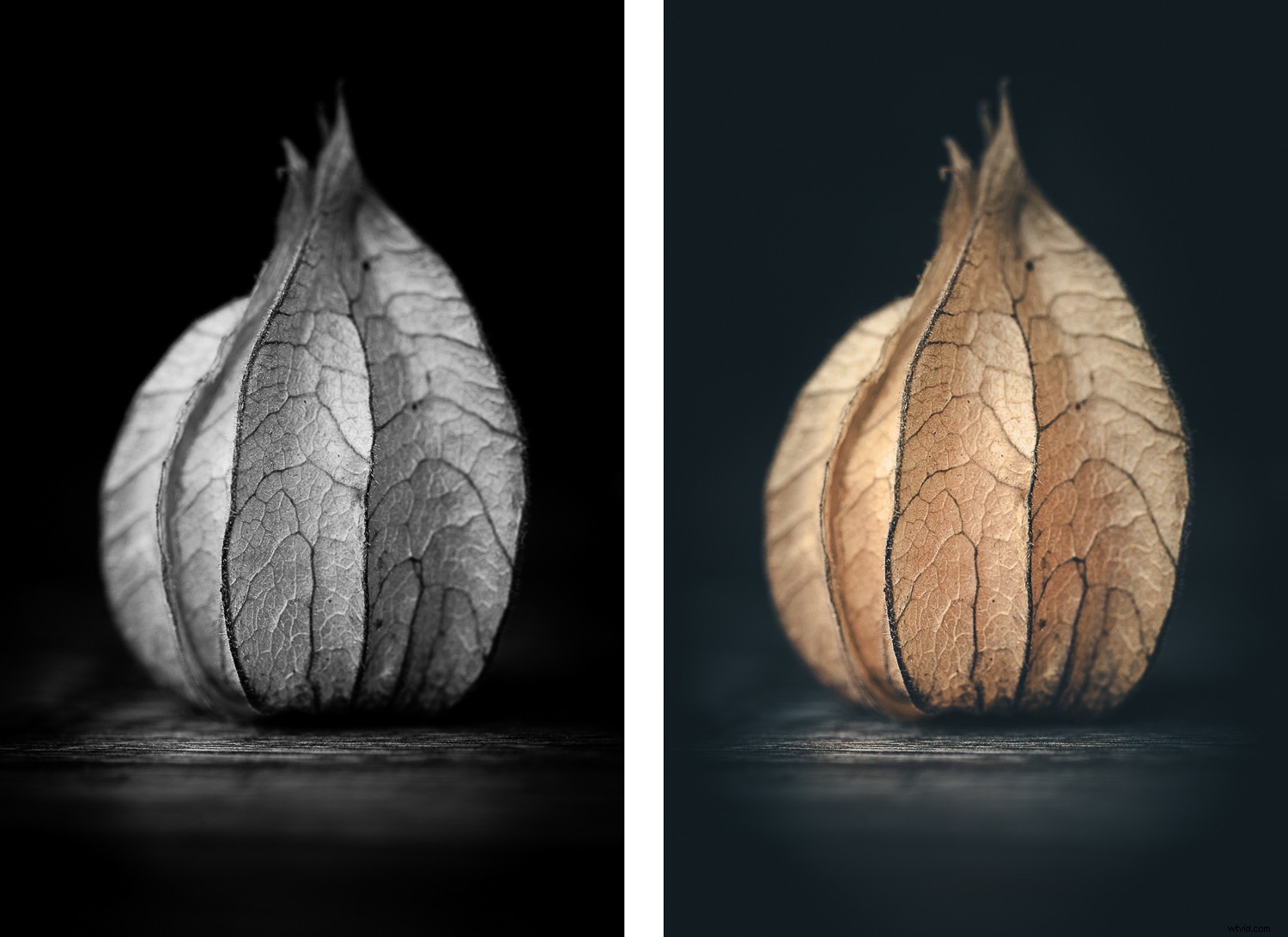 Transform Everyday Mundane into Stunning Fine Art Photography at Home