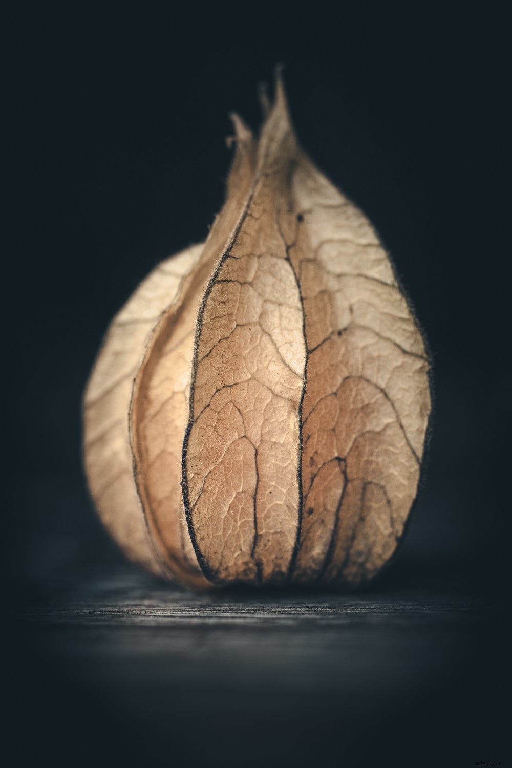 Transform Everyday Mundane into Stunning Fine Art Photography at Home