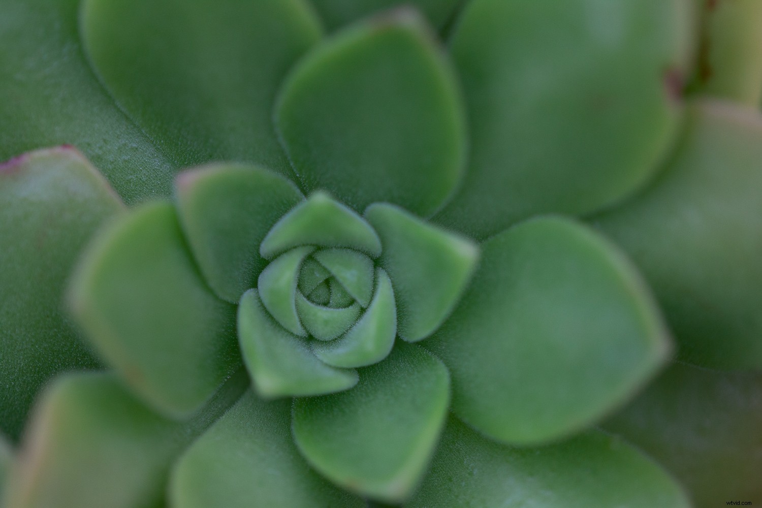 5 Proven Techniques to Transform Ordinary Subjects into Stunning Photographs