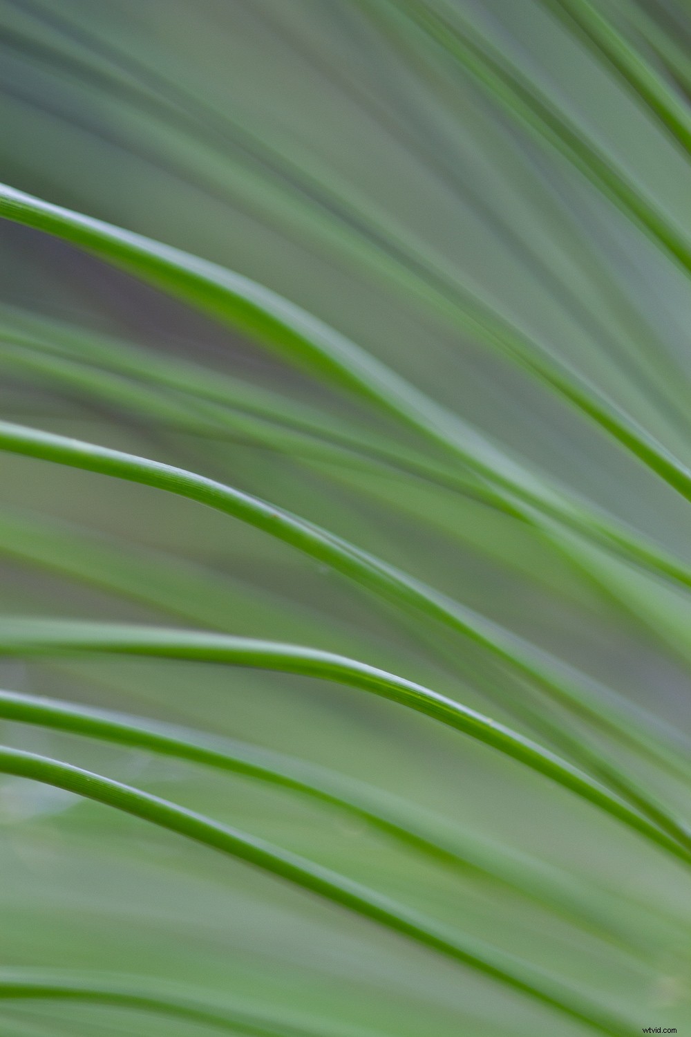 5 Proven Techniques to Transform Ordinary Subjects into Stunning Photographs