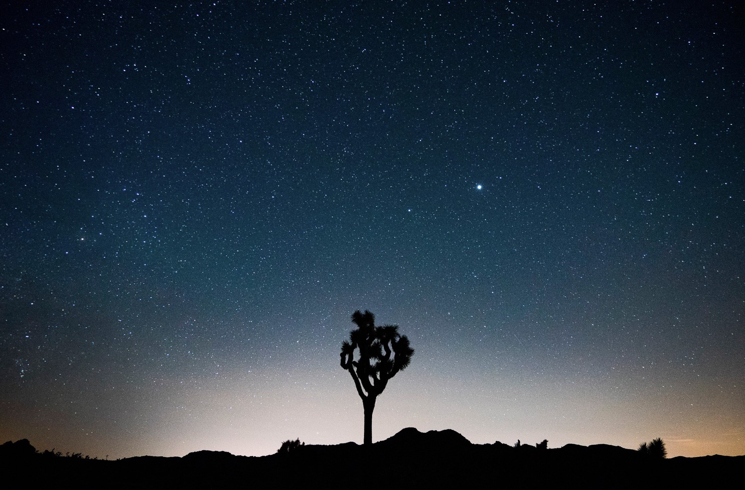 Master Composition: Proven Tips to Guide the Viewer s Eye in Your Photographs