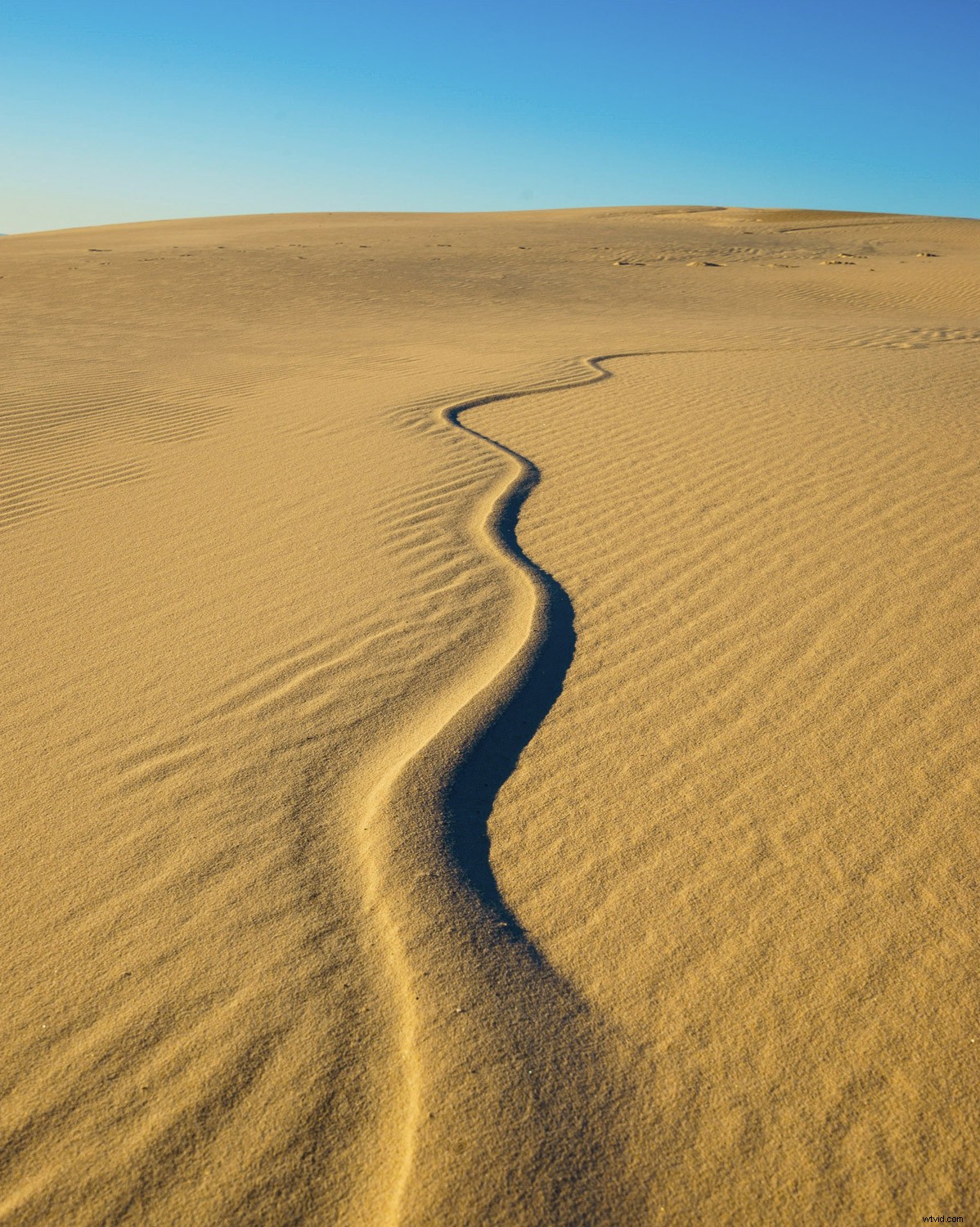 Master Composition: Proven Tips to Guide the Viewer s Eye in Your Photographs