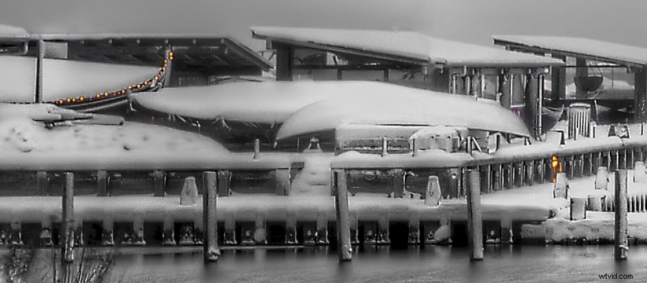 Master Selective Color: Create Stunning, Dynamic Images Effortlessly